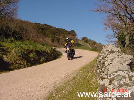 auch Ducs kommen aus dem Wald