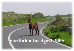 Sardinien-im-April-2005