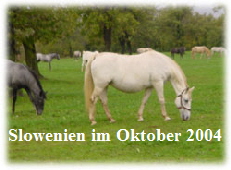 Slowenien-im-Oktober-2004